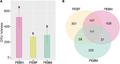 Bacterial Community Composition in the Growth Process of Pleurotus eryngii and Growth-Promoting Abilities of Isolated Bacteria